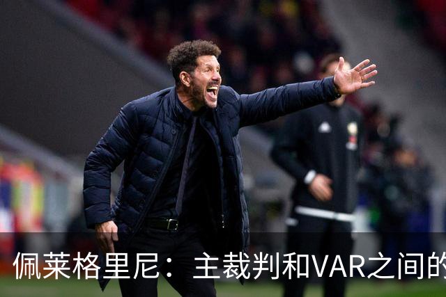 佩莱格里尼：主裁判和VAR之间的协作衔接，应该是需要改进的地方